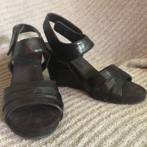 Black a2 aerosols wedge